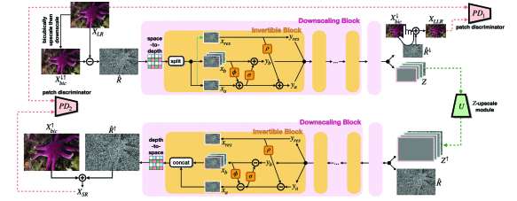 Find the way back: Invertible kernel estimator for blind image super resolution