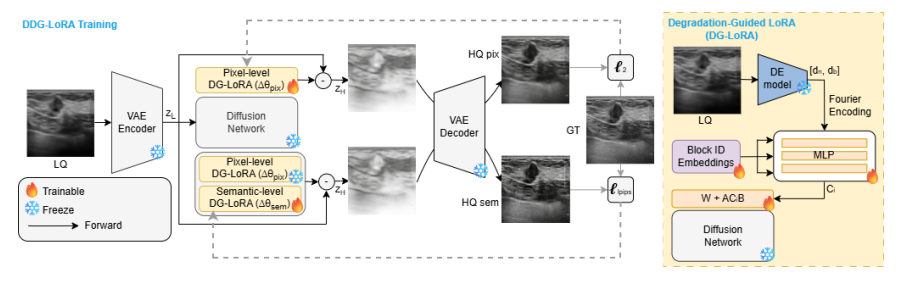 Style-Driven Data Synthesis and Degradation-Aware Enhancement for Ultrasound Image Restoration