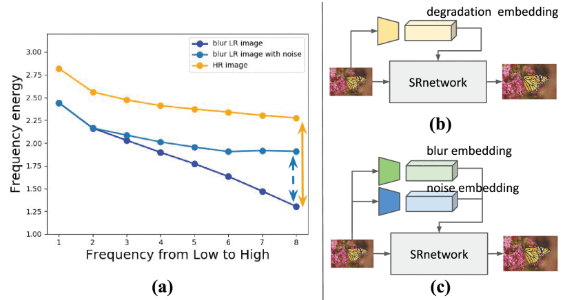 Two Heads Better than One: Dual Degradation Representation for Blind Super-Resolution